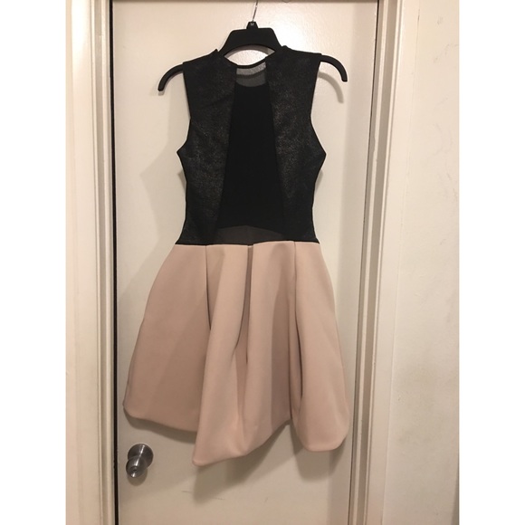 Halston Heritage Sheer Back Dress - Picture 5 of 6